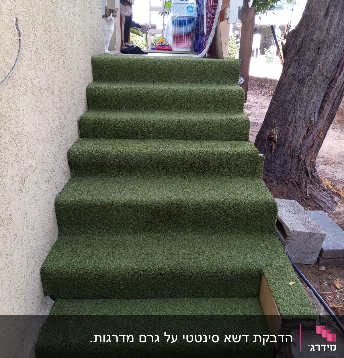 מדרגות מכוסות דשא מלאכותי ליד עץ